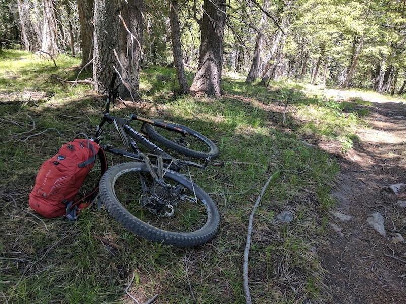 Adam's Gulch Loop Mountain Biking Trail Ketchum, Idaho
