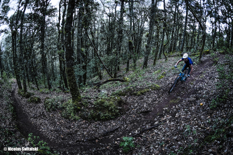 El Cerezo Mountain Biking Trail - Oaxaca | Trailforks