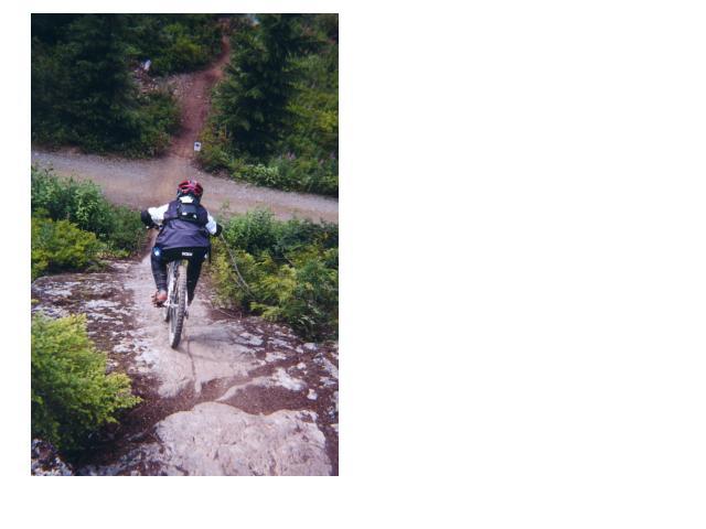 Me riding A STEEEEP rock face on joy ride. One of the many ausome trails On Whistler Mountain.