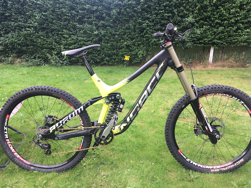 norco aurum 2016 price