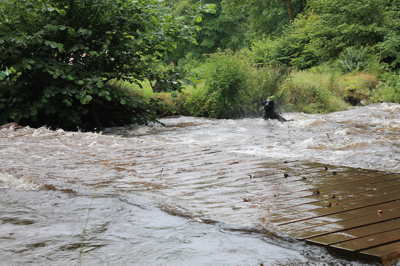 The Exmoor Adventure