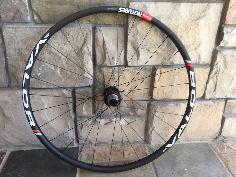 29er back wheel