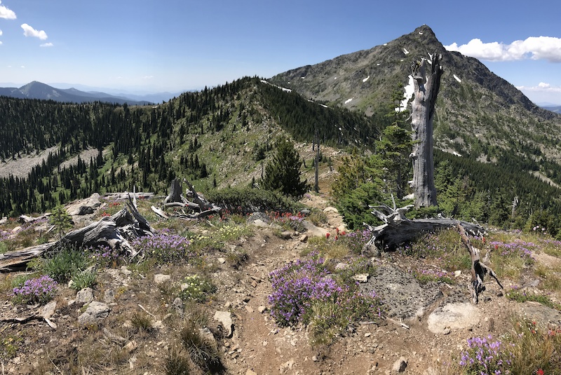 Seven Summits Mountain Bike Trail Rossland, BC