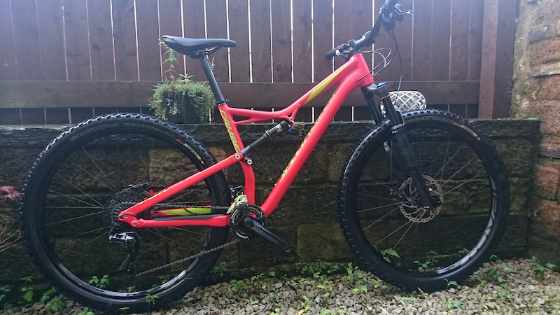 specialized camber 29 for sale