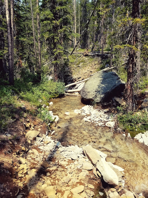 CDT Lower Seymour Lake to Sullivan Creek Mountain Bike Trail Anaconda, MT