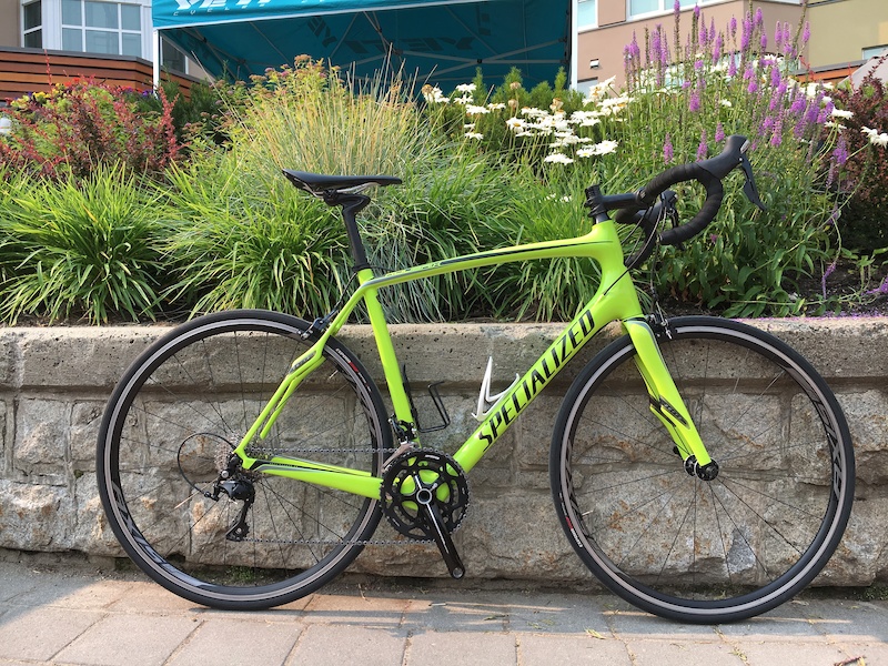 specialized roubaix 58cm for sale