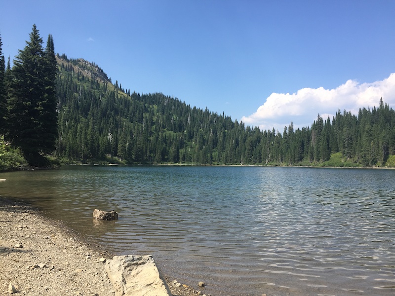 Strawberry Lake Trail Mountain Bike Trail - Kalispell, MT