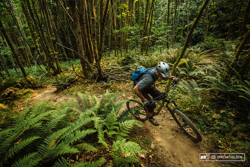 Geneva Connector Mountain Biking Trail Bellingham