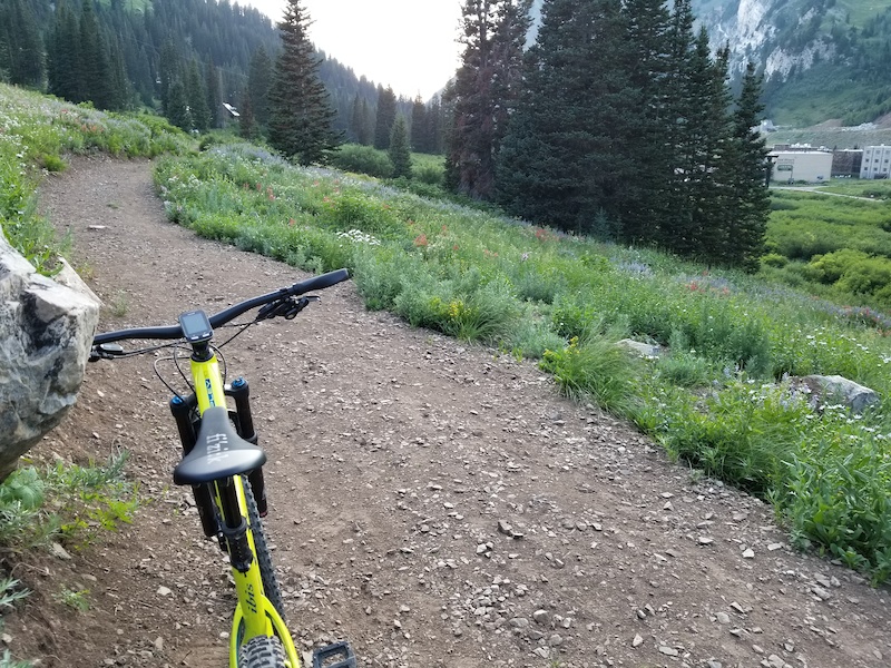 Lower Albion Meadows Multi Trail - Alta, UT | Trailforks