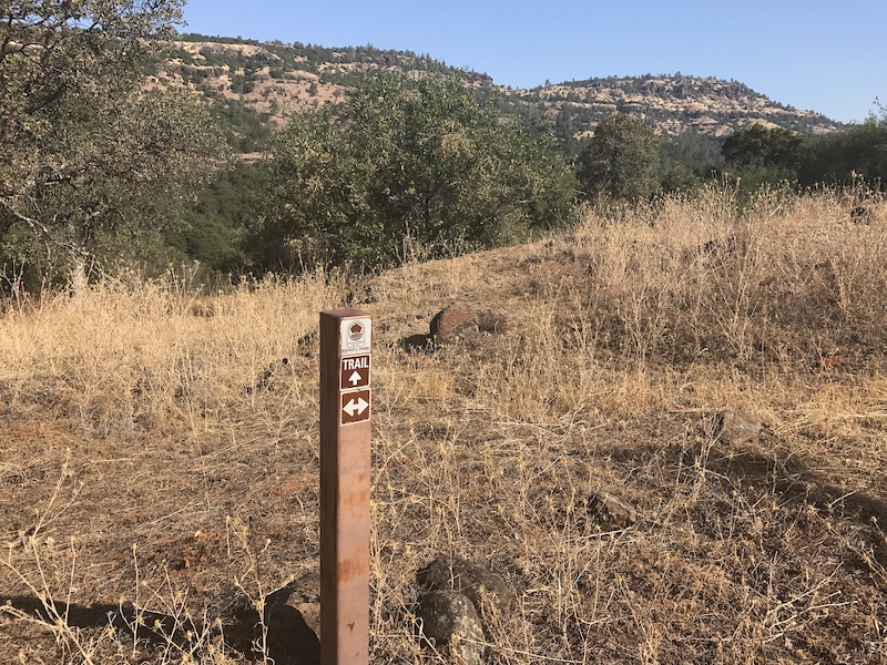 Legacy Mountain Biking Trail Chico, California