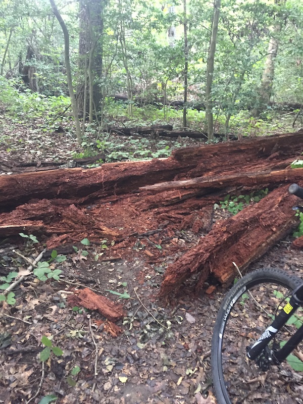 Powhite park mountain bike trail hot sale