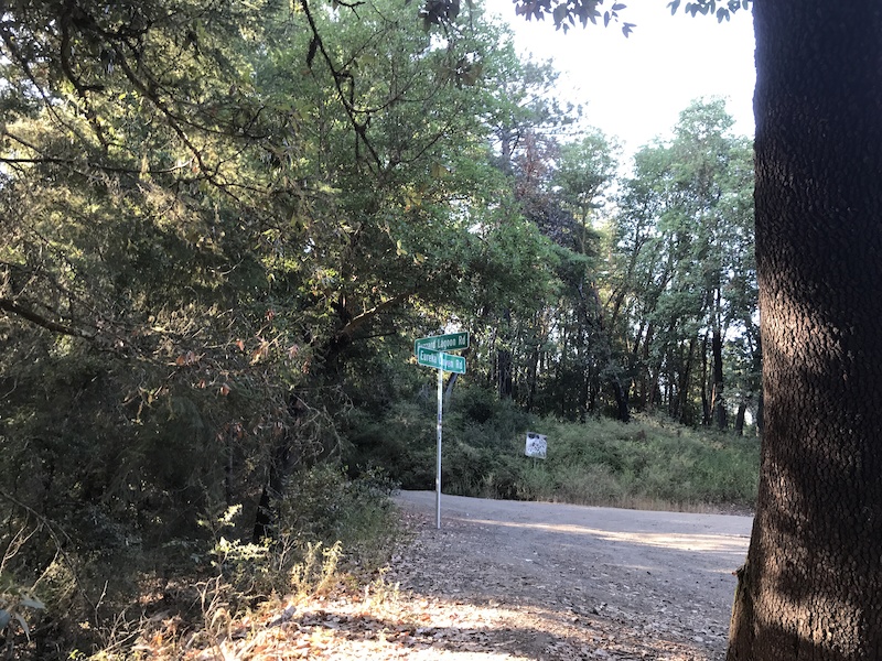 Buzzard Lagoon Road Multi Trail Santa Cruz California