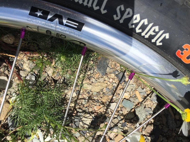 Bad asserry in wheels and wheelbuilidng.
ISO SS/20mm x Spank DH hoops