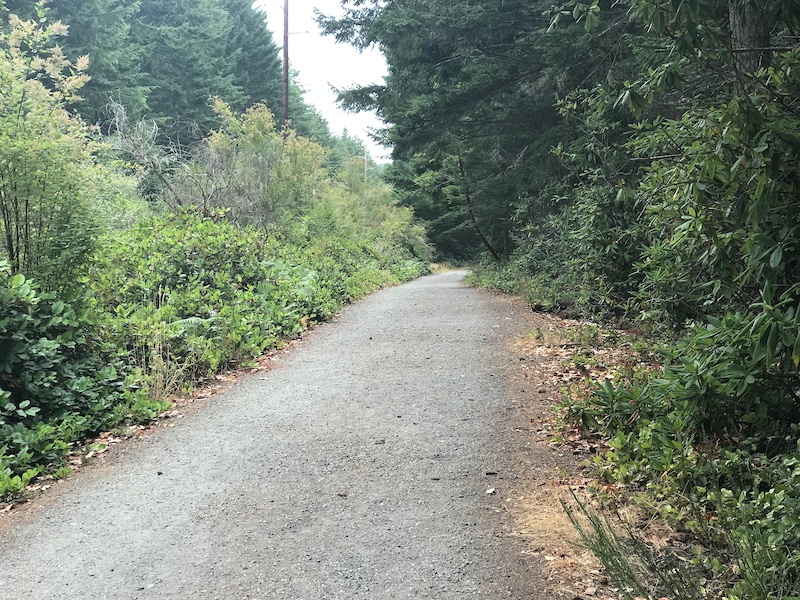 Kettles Trail Mountain Biking Trail Coupeville, WA