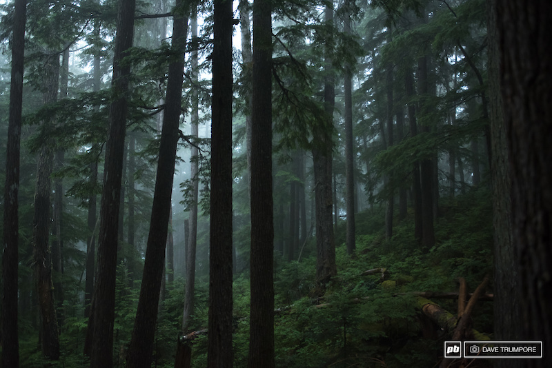 It was classic Whistler scenery in the woods for the first stage of the day.