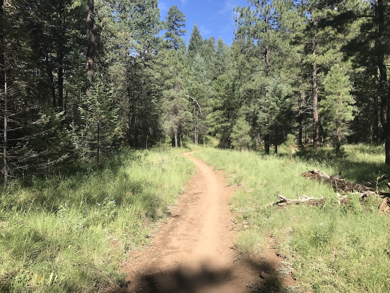 Schultz Creek Multi Trail - Flagstaff, Arizona