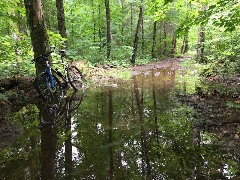 Timber Slide Mountain Bike Trail - Algonquin Park, ON