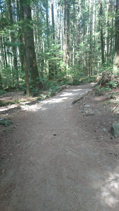 bert flinn park mountain biking