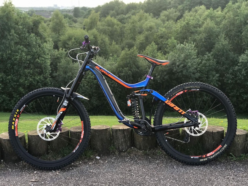 giant glory 2017 price