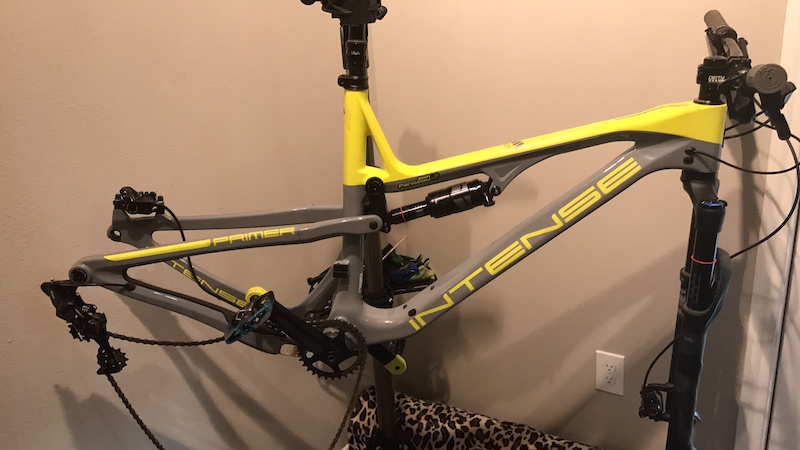 intense primer for sale