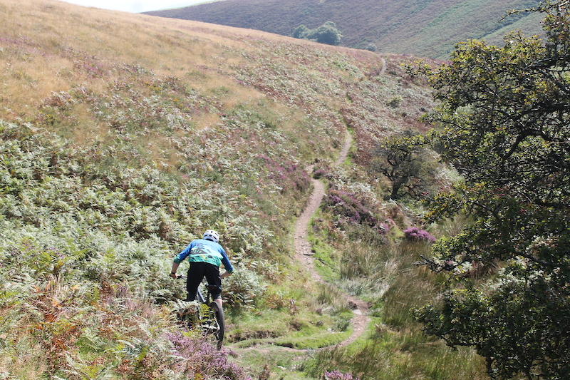 exmoor mountain biking