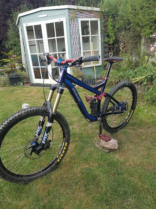 2010 specialized pitch pro