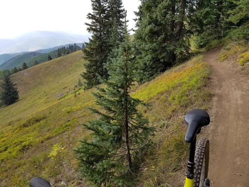 Grand Traverse Mountain Biking Trail Vail, Colorado