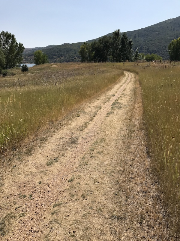 pineview bike trails