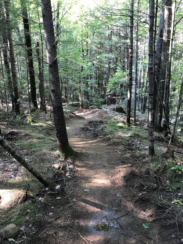 Bingham Loop Mountain Biking Trail Bethel, Maine
