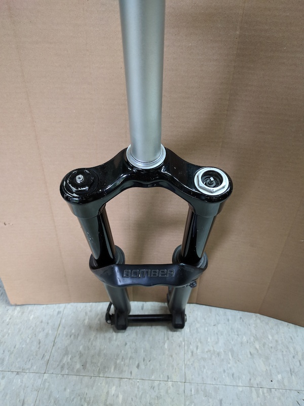 P. Willinckii Spur(TC) 【M-2】 i806999_1_lg.jpg?v=1740953050