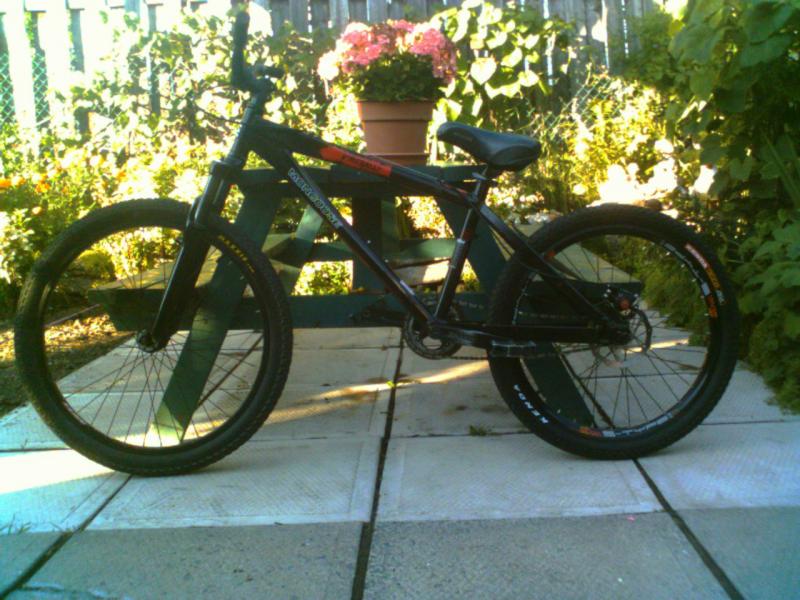 mongoose fireball 2006