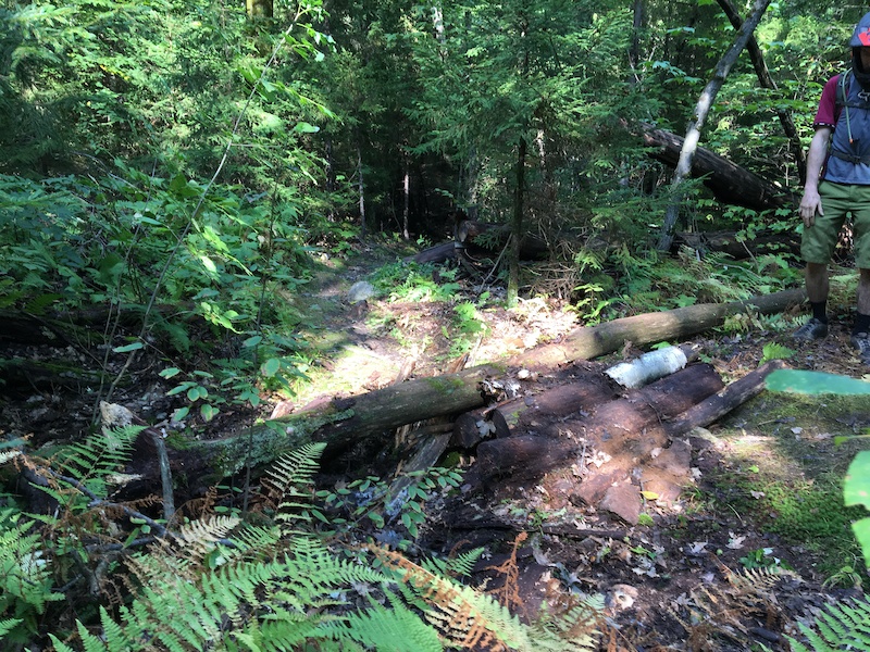 Enchanted Forest Mountain Biking Trail Hinesburg