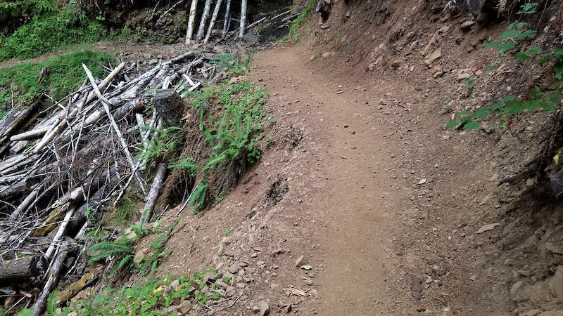 Singles in gales creek or