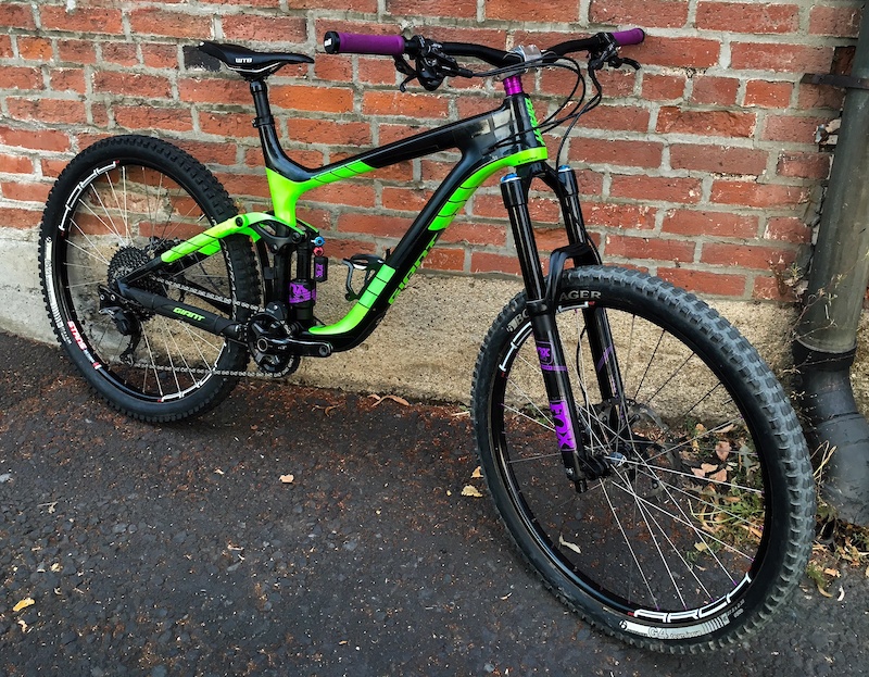 reign advanced 1 2017