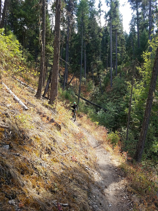St. Regis River Trail 223 Mountain Biking Trail St Regis, MT
