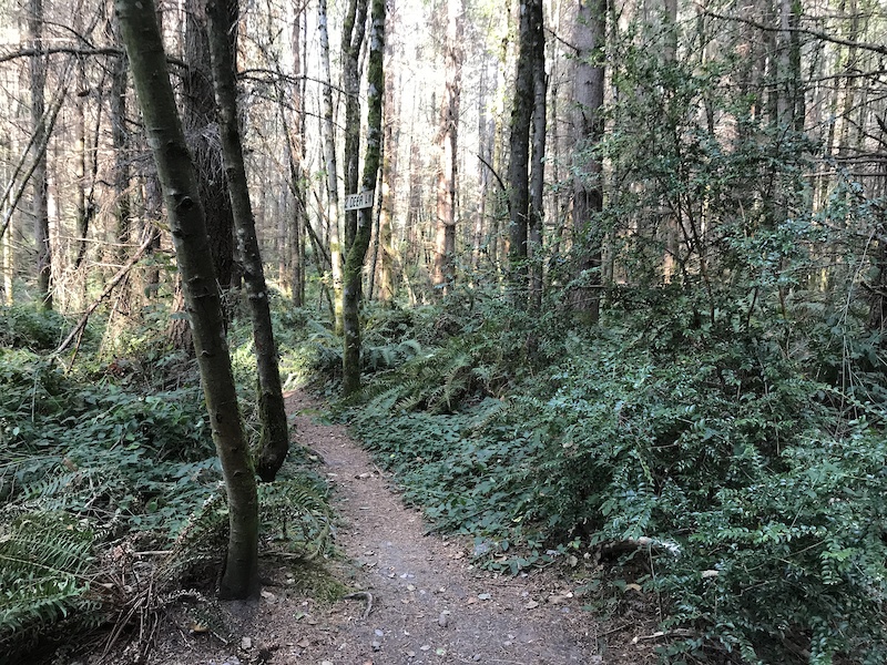 Two Deer Lane Multi Trail Langley, Washington