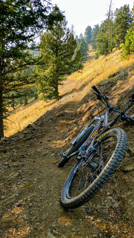 CDT (Three Mile Ridge) Multi Trail - North Fork, Idaho