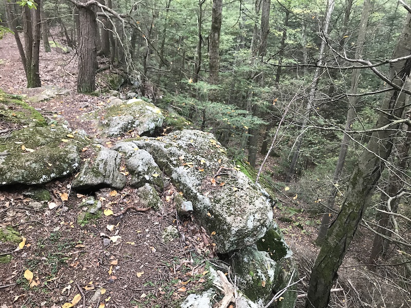 Far Out Mountain Biking Trail Granby, Massachusetts