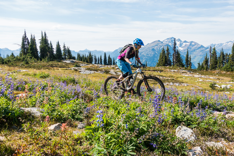 best things to do in revelstoke in summer frisby ridge