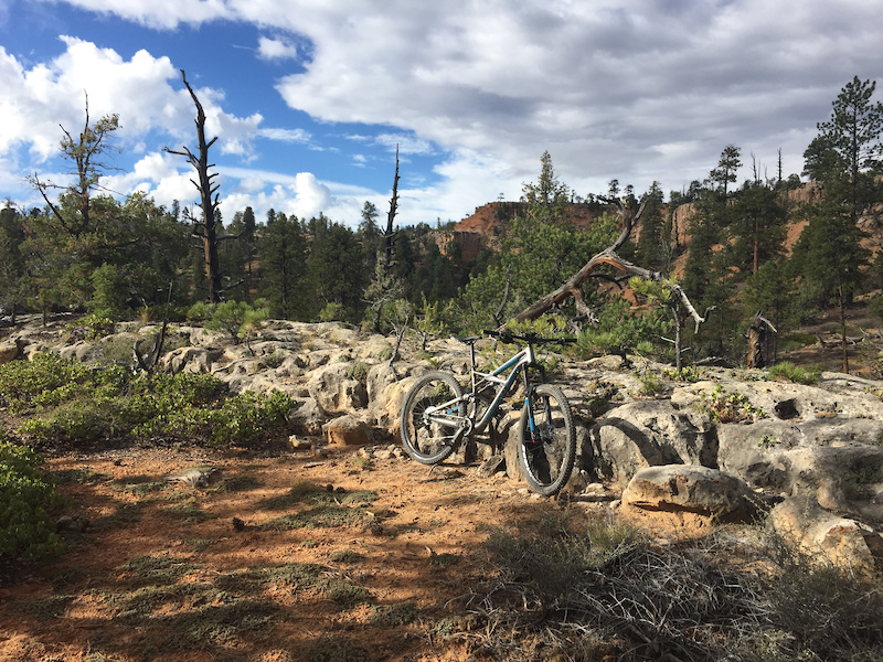 Cassidy Mountain Biking Trail Panguitch, Utah