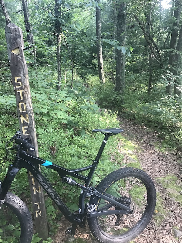 2016 salsa horse thief carbon custom build For Sale