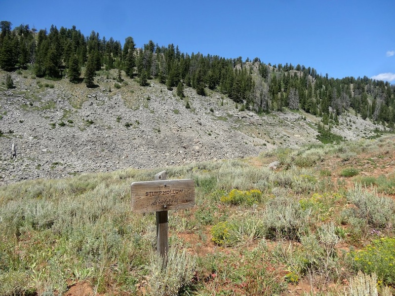 Peter Sinks Loop Mountain Biking Trail - Logan, Utah