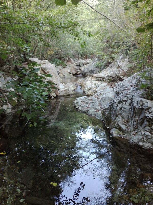 Tampa Mountain Biking Trail Finale Ligure Trailforks