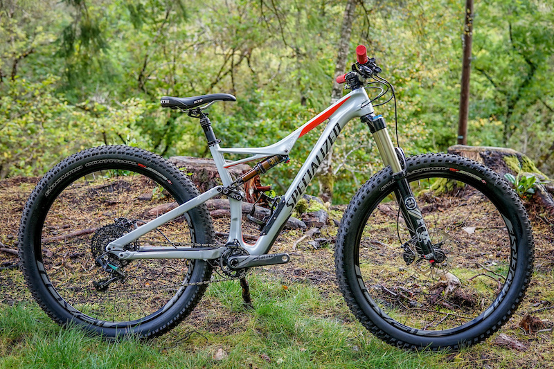 specialized rime expert