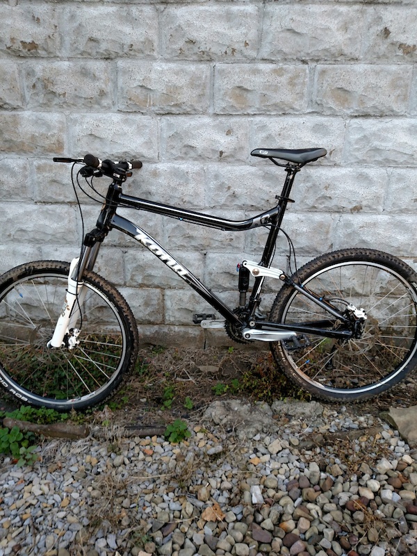 kona tanuki for sale