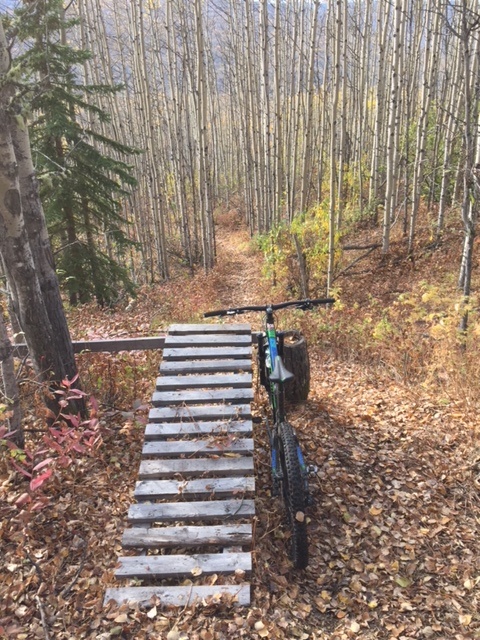Electric Lettuce DH trail in Chetwynd, BC