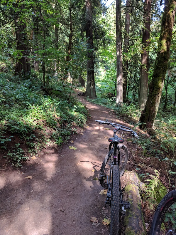 Elderberry Mountain Biking Trail - Portland, Oregon