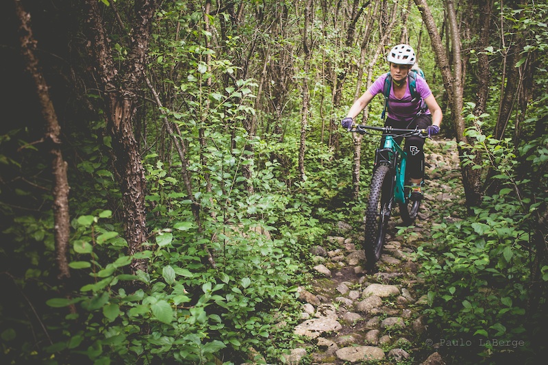 Roy's Ridge Mountain Biking Trail - Guelph, Ontario