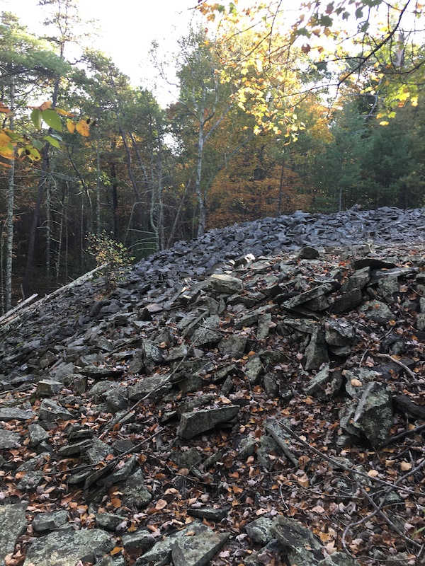 Yellow trail Mountain Biking Trail Kingston, New York