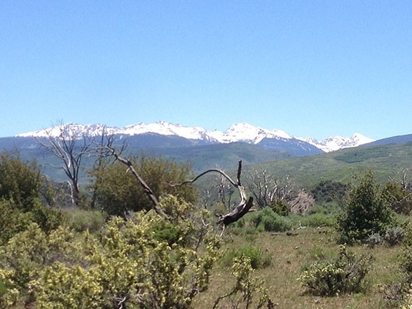 Abrams Ridge Multi Trail - Eagle, Colorado | Trailforks